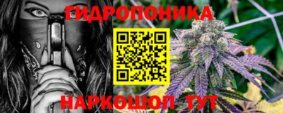 эйфоретик Гатчина