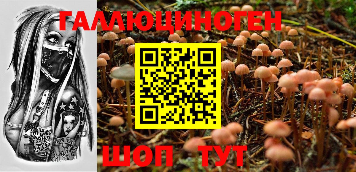 Галлюциногенные грибы ЛСД  купить  цена  Крымск  Вход с VPN 